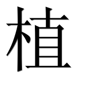 Иероглиф 植