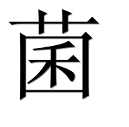 Иероглиф 菌