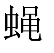 Иероглиф 蝇