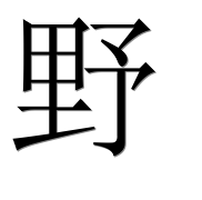 Иероглиф 野